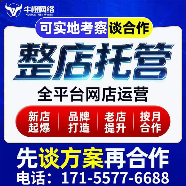 长春电商代运营