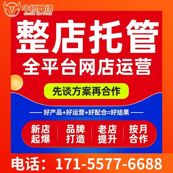 长春电商代运营