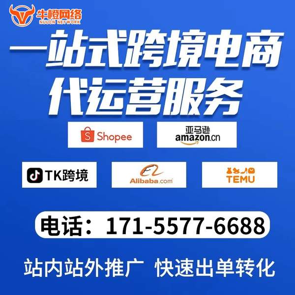 长春电商代运营
