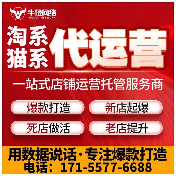 长春电商代运营